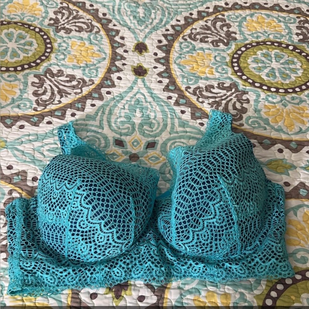 Cacique lane Bryant bra